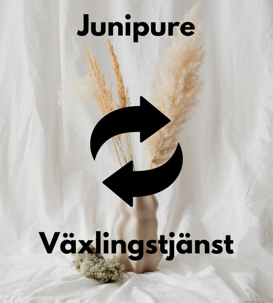 Växlingstjänst